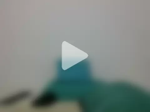 TRIISTAN_KING10 photo 1