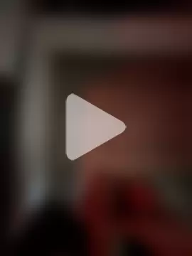 Tazo695 photo 1