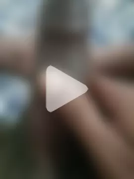 TeluguBlackDick photo 4