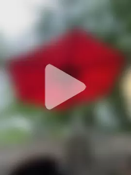 TexaSMESS_37 photo 1