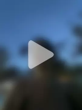 TheCinderella photo 14