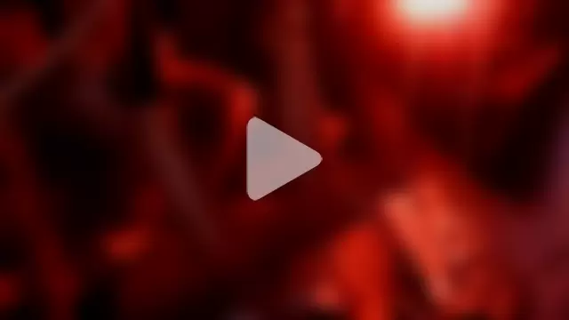 TheOneYouLove69 photo 3