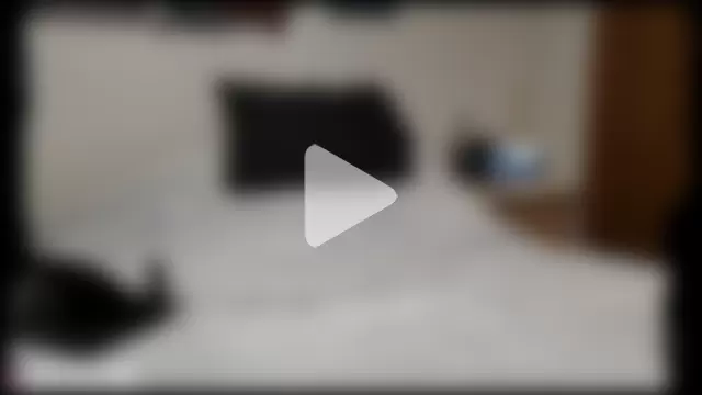 The_Alpha_Dog photo 20