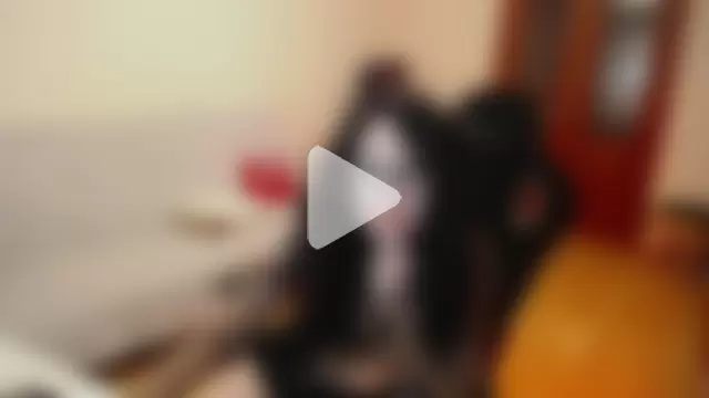 The_Blacksphinxxx photo 26