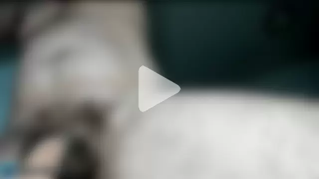 The_Fenix_xxx photo 14