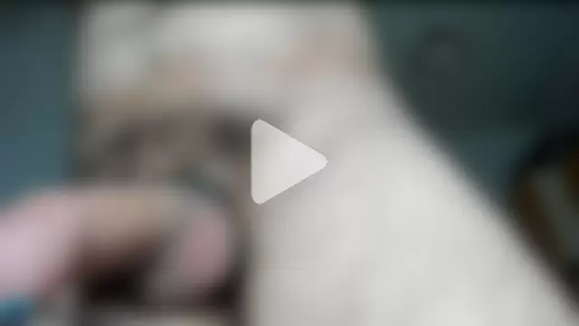 The_Fenix_xxx photo 1