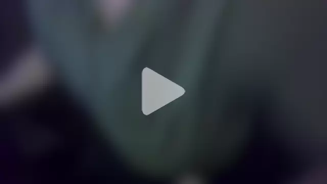 The_big_viking_ photo 19