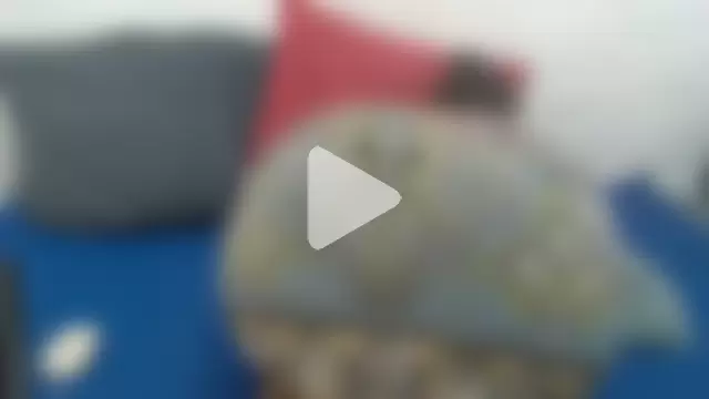 Thickchocolatex2 photo 16