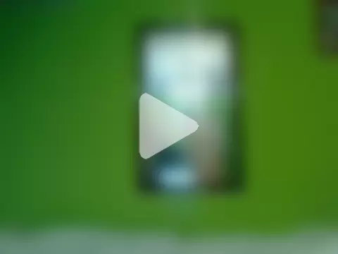 Tiger202441 photo 16