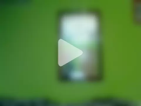 Tiger202441 photo 26