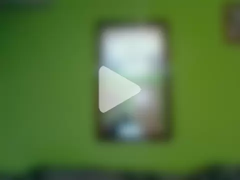 Tiger202441 photo 22