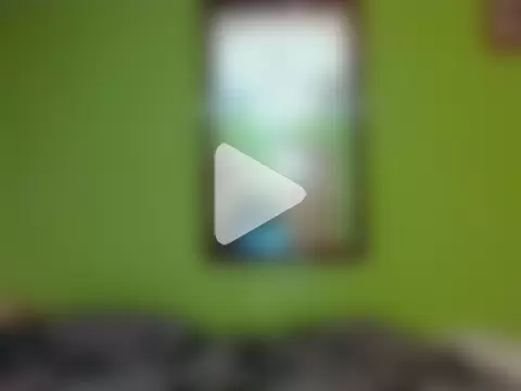 Tiger202441 photo 11