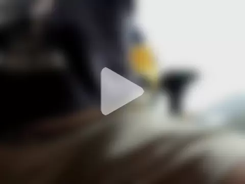 TigerLightOwO photo 3