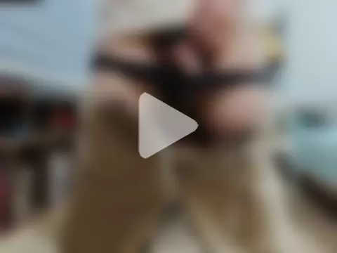 TigerLightOwO photo 1