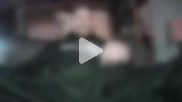 Tiggitytomociti photo 3