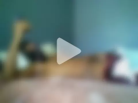 TitularAdaption photo 4