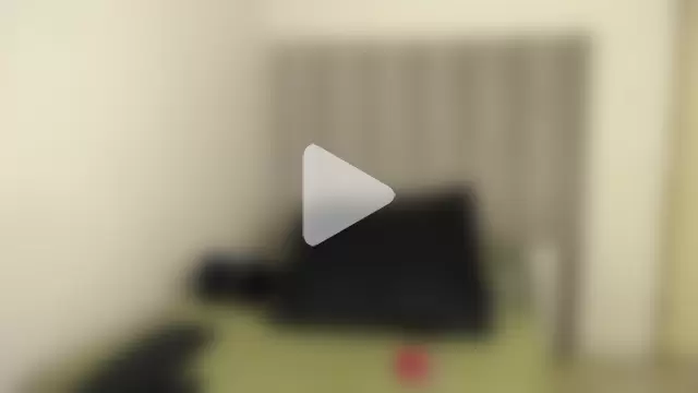 Trans_fairy photo 18