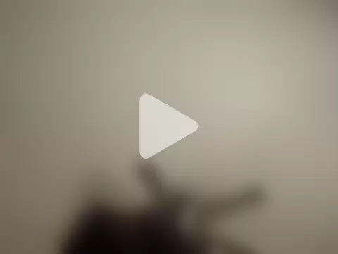 Triggerhappycj100 photo 15