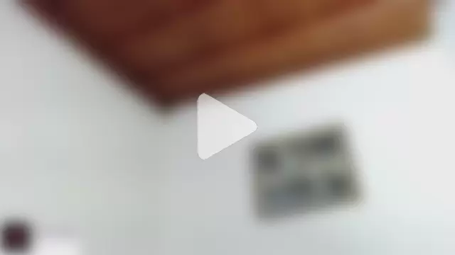 Trix_fiore_oficial photo 9