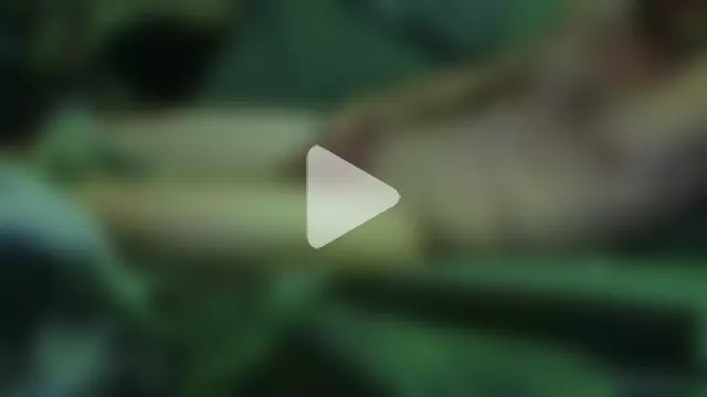 Twowellshapedheads photo 21