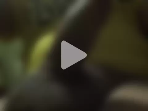 Tyron_bigballs photo 14