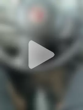 UrsoBissexualPauGrosso photo 5