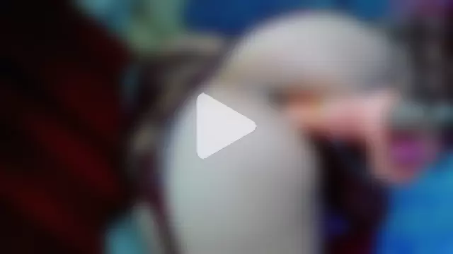 Valentina_Foxlife photo 18