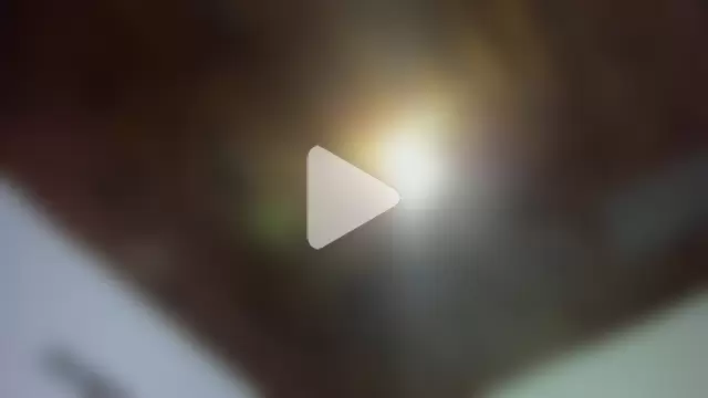 ValerySalasar_ photo 4