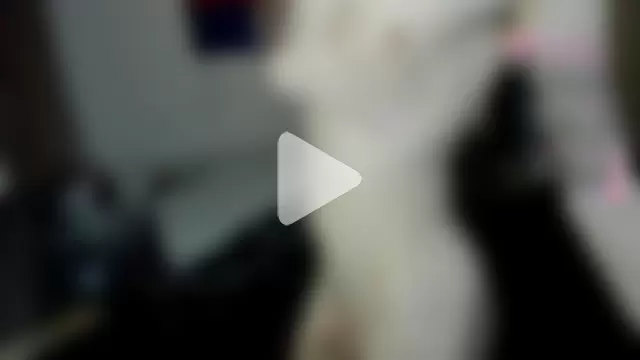 Vampirella_GS photo 11