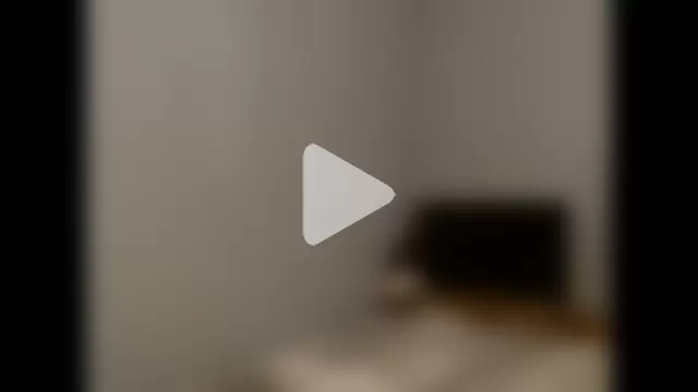 VanceFontaine photo 26