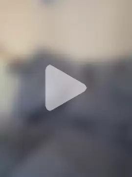 Vanilla-Cakebaum photo 5