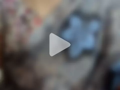 Vennela-1-Telugu photo 10