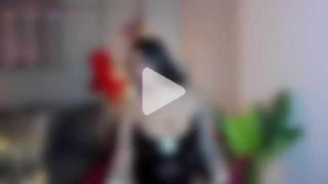 Victoria_Collinns photo 23