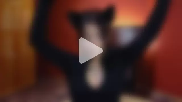 VioletaGrein photo 17