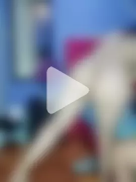 ViolettAndCandy photo 3