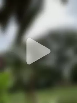 ViolettaSummer photo 4