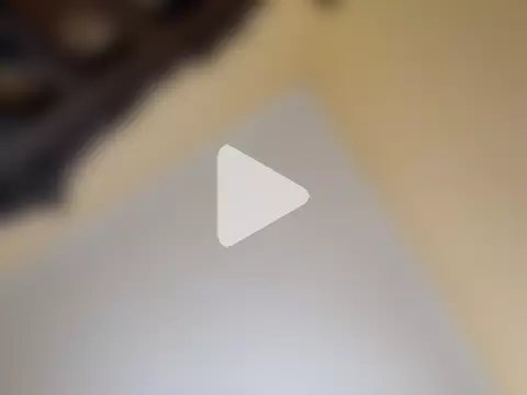 White_rabbit_ photo 7