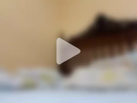 White_rabbit_ photo 1