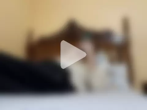 White_rabbit_ photo 8