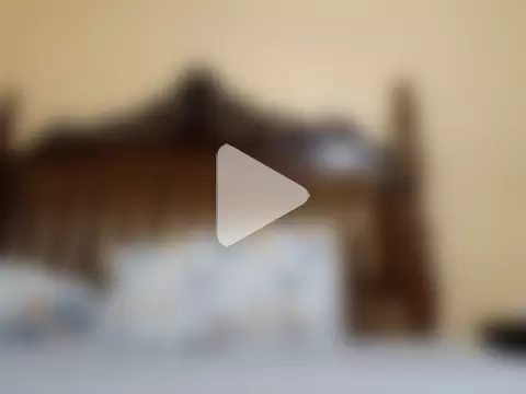 White_rabbit_ photo 5