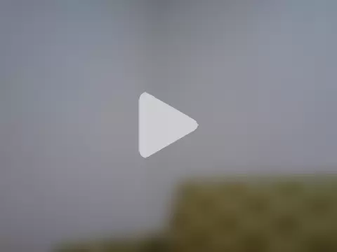 WildScorpio86 photo 11