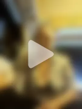 WildScorpio86 photo 1