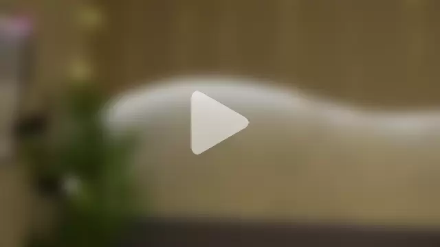 Will_Hendrix photo 15