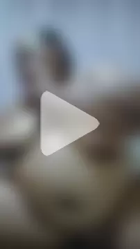 XCHOCOLOVEBBW69 photo 22