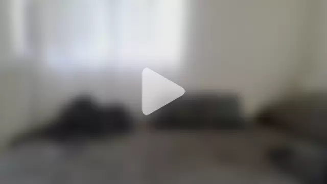 XLBarehengst photo 24