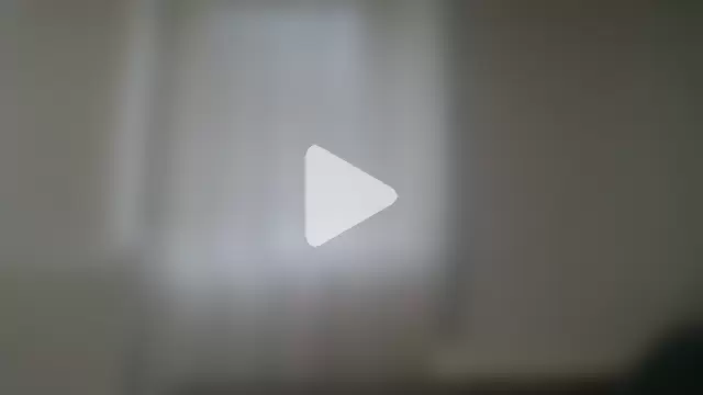 XLBarehengst photo 15