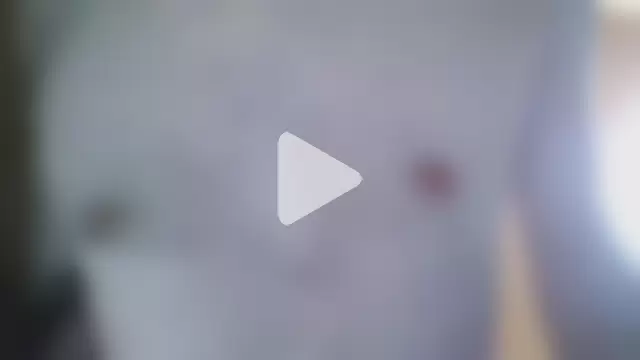 XLBarehengst photo 4