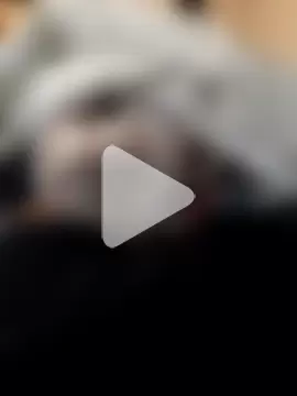 XXL_22cm_Young photo 3