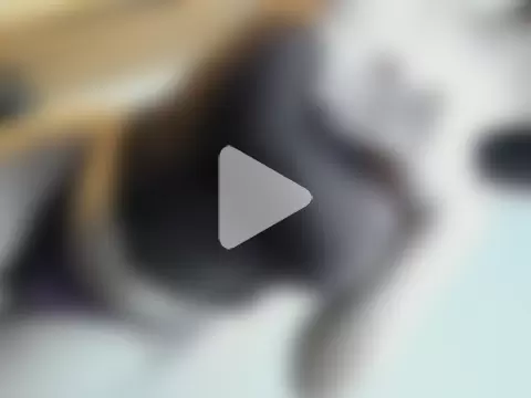 Xxjasmine_foxxX photo 1