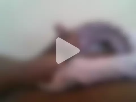 YORDICK4ROM_UcanTASTEit2 photo 24